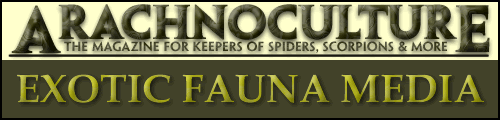 Arachnoculture/Exotic Fauna Media